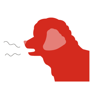 E-1